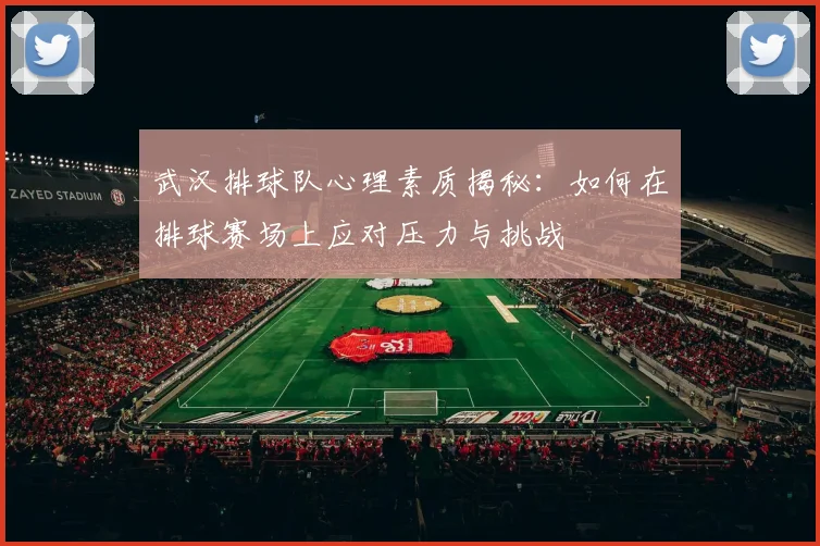 武汉排球队心理素质揭秘：如何在排球赛场上应对压力与挑战